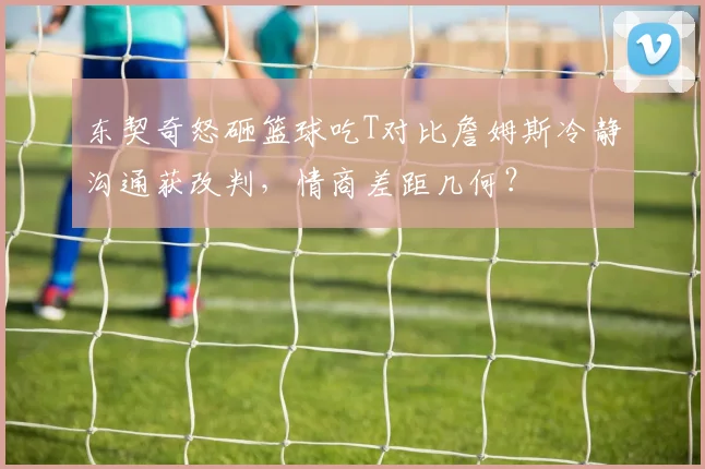 东契奇怒砸篮球吃T对比詹姆斯冷静沟通获改判，情商差距几何？