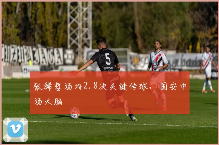 张稀哲场均2.8次关键传球，国安中场大脑